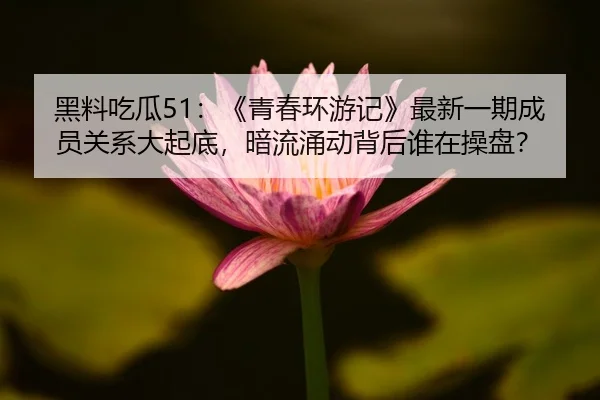 黑料吃瓜51：《青春环游记》最新一期成员关系大起底，暗流涌动背后谁在操盘？
